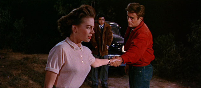 La fureur de vivre (1955)