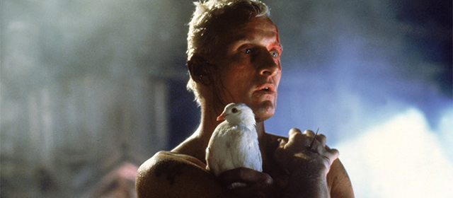 Rutger Hauer dans Blade Runner (1982)