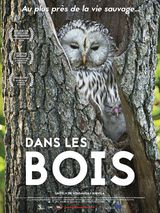 Affiche de Dans les bois (2019)