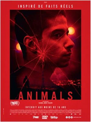 Affiche d'Animals (2023)