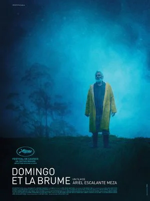 Affiche de Domingo et la brume (2023)