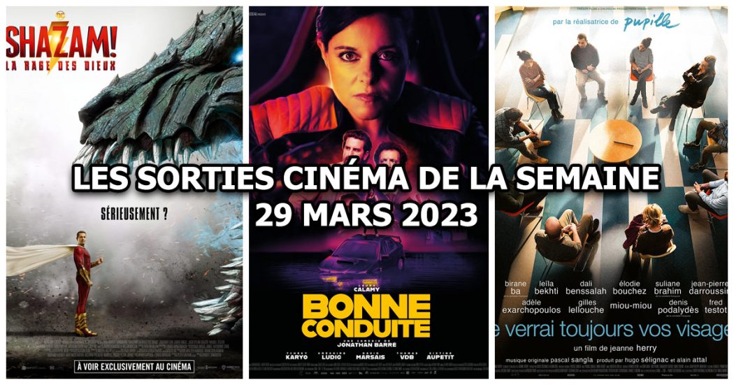 Les sorties cinéma de la semaine - 29 mars 2023